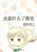 《金嘉轩去了哪里》封面