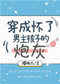《穿成怀了男主孩子的炮灰》封面
