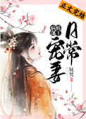 《病娇藩王宠妻日常》封面
