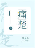 《痛楚》封面