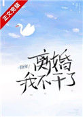 《离婚！我不干了》封面