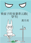 《败家子的宠妻青云路（穿书）》封面
