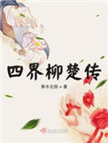 《四界柳楚传》封面
