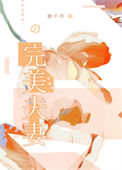 《完美夫妻》封面