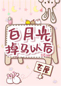 《白月光掉马以后》封面
