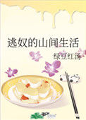 《逃奴的山间生活》封面