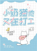 《小奶猫他又在打工》封面