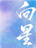 《向星》封面