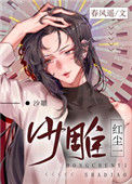 《红尘一沙雕》封面