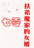 《扶弟魔家的女婿》封面