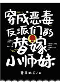 《穿成恶毒反派们的替嫁小师妹》封面
