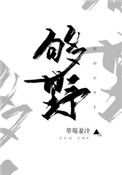 《别再野了》封面