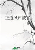 《正道风评被害》封面
