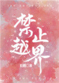 《禁止越界》封面