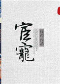 《宦宠》封面