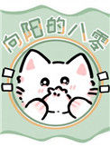 《向阳的八零》封面