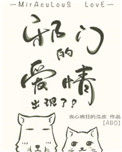 《邪门的爱情出现了》封面