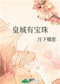 《皇城有宝珠》封面
