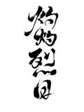 《灼灼烈日》封面