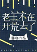 《老王不在，开荒去了》封面
