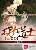 《拐个道士做老公》封面