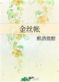 《金丝帐》封面