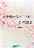 《城堡里的残念王子们》封面