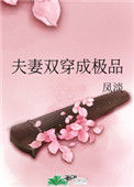 《夫妻双穿成极品》封面