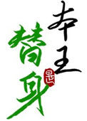 《替身竟是本王自己（双替身）》封面