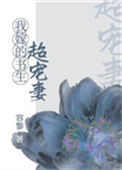 《我嫁的书生超宠妻（重生）》封面