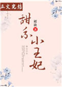 《甜系小王妃》封面