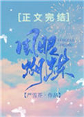 《风眼蝴蝶》封面