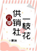 《八零供销社一枝花》封面