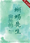 《窗外的蜥蜴先生》封面