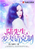 《陆先生，爱妻请克制》封面