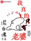 《我真的只有一个老婆》封面