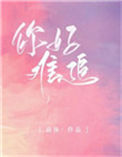 《你好难追》封面