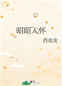 《昭昭入怀》封面