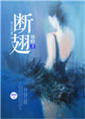 《断翅》封面