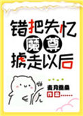 《错把失忆魔尊掳走以后》封面