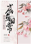 《清穿太子妃的咸鱼日常》封面