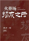 《火葬场扬灰之后》封面
