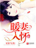 《暖妻入怀（重生）》封面