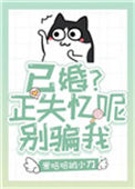 《已婚？失忆呢，别骗我》封面