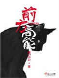 《前方高能》封面