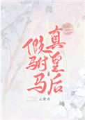 《假驸马，真皇后》封面