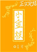 《小金枝》封面