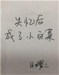 《失忆后成了小白菜》封面