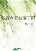 《皇后今天被废了吗》封面