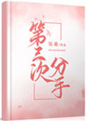 《第三次分手》封面